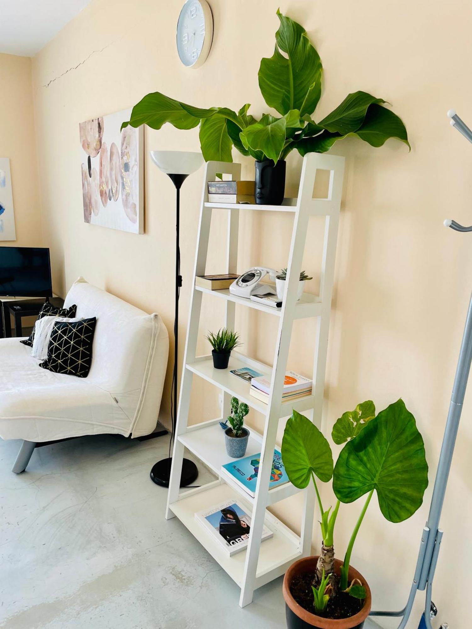Ocean Eyes Apartment อิปโซส ภายนอก รูปภาพ